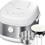 Best Rice Cookers for Pakistani and Indian Rice Dishes toshiba